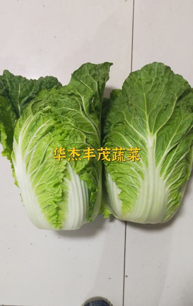 黄心大白菜，玲珑黄白菜，大白菜，3~10斤，无虫眼