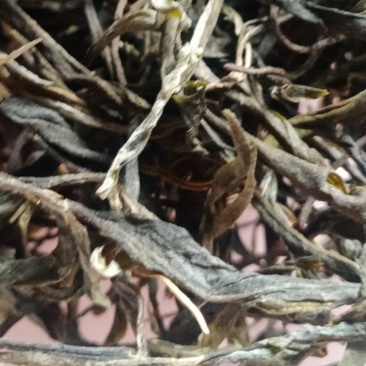 晒青毛茶