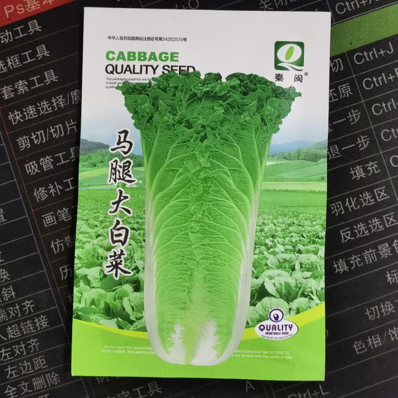 马腿白菜大白菜种子青菜早熟高产耐热大白菜盆栽农家田园蔬菜