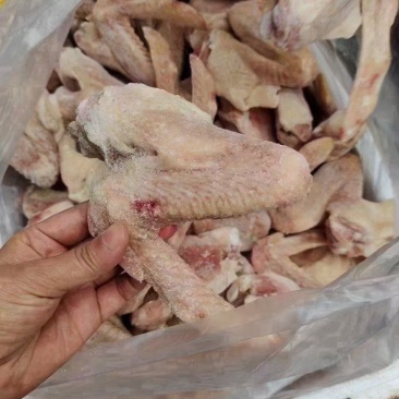 鸭翅膀，