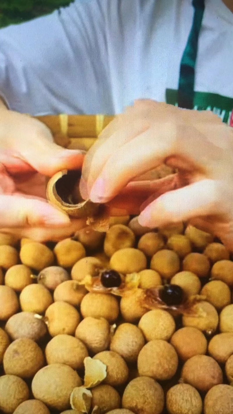 储良桂圆干