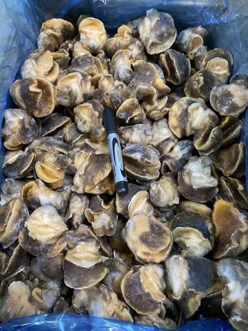 玉螺沙螺肉