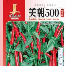 朝天椒种子美朝500鲜红色结果多椒条美观辣度高