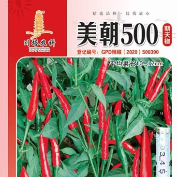 朝天椒种子美朝500鲜红色结果多椒条美观辣度高