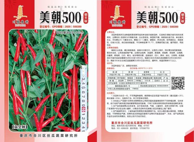 朝天椒种子美朝500鲜红色结果多椒条美观辣度高