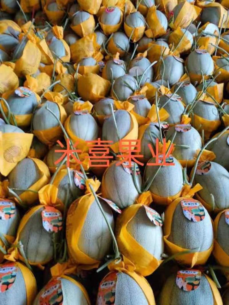 25号小蜜（热销）中，产地直销，供应：各大平台市场商超。