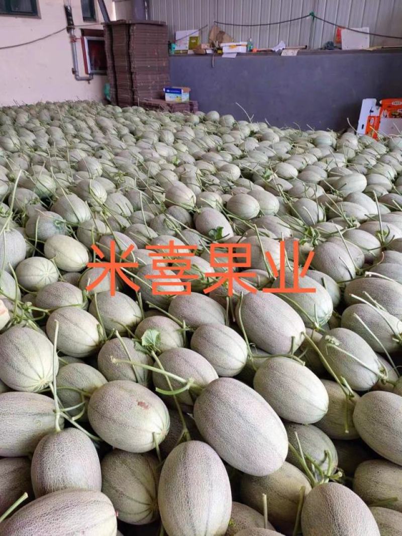 25号小蜜（热销）中，产地直销，供应：各大平台市场商超。