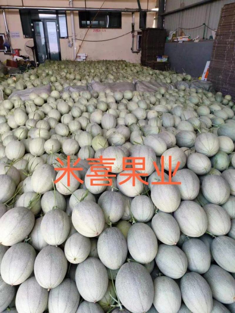 25号小蜜（热销）中，产地直销，供应：各大平台市场商超。