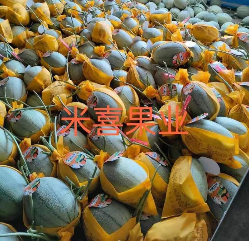 25号小蜜（热销）中，产地直销，供应：各大平台市场商超。