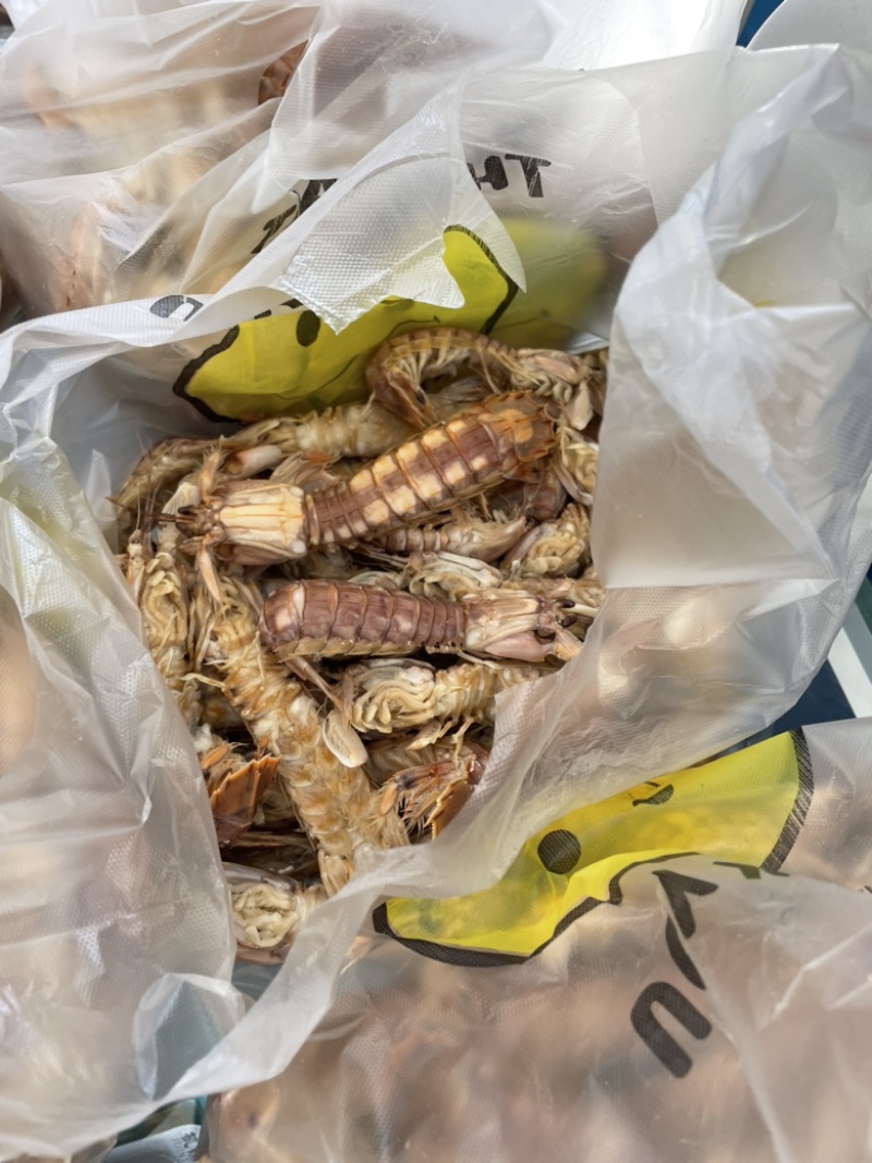 皮皮虾批发