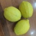 广香水柠檬黄果