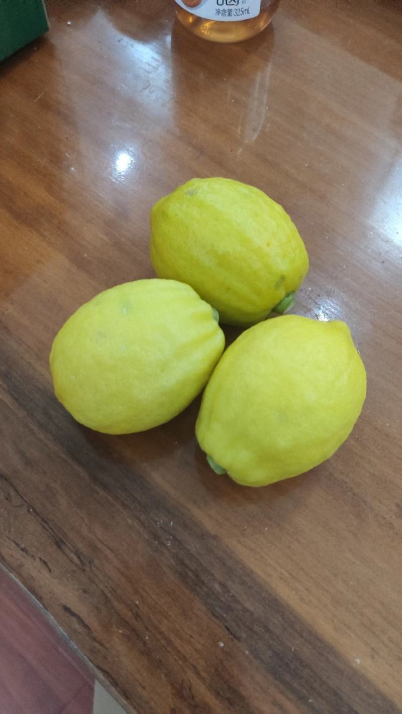 广香水柠檬黄果