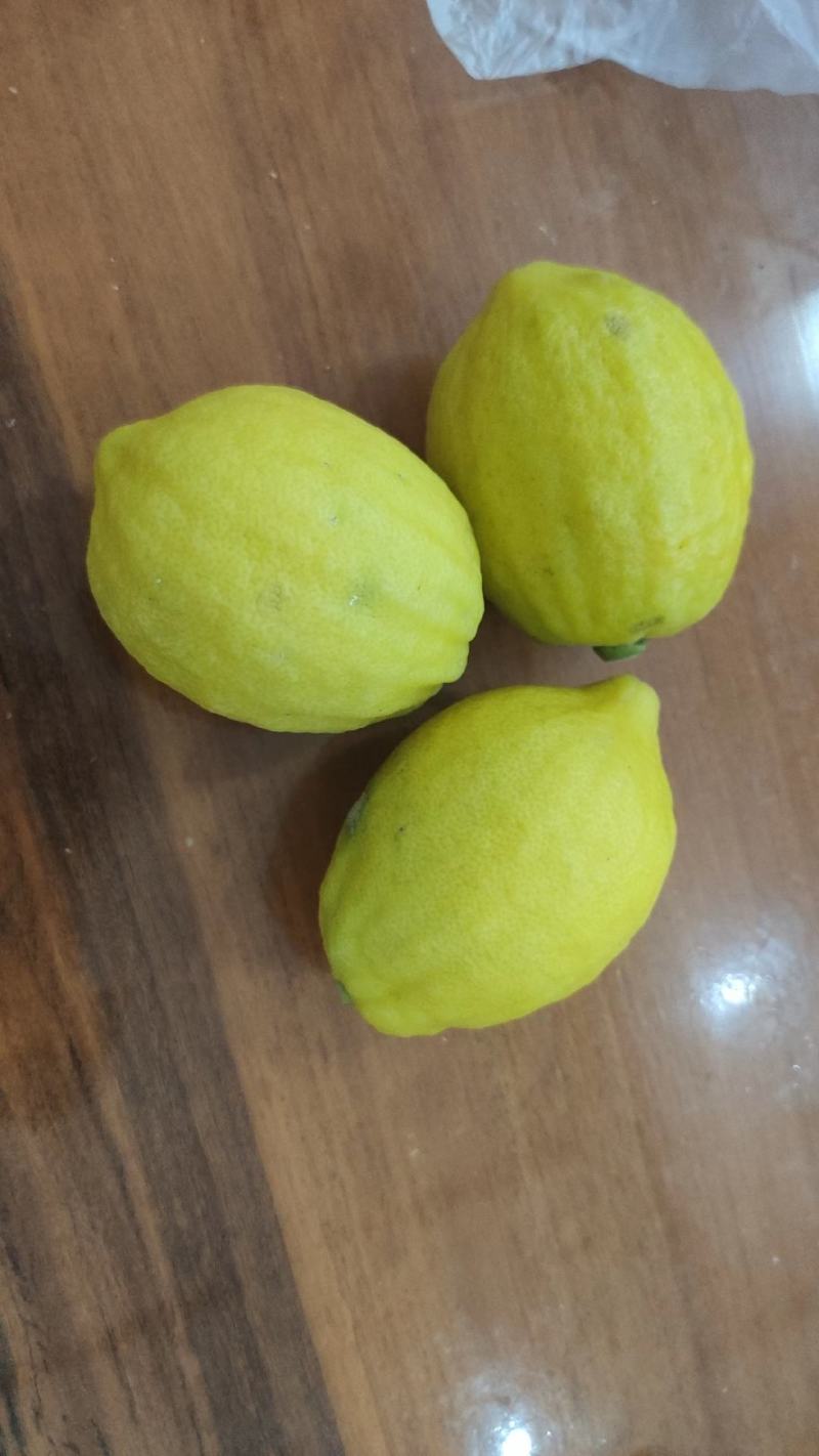 广香水柠檬黄果