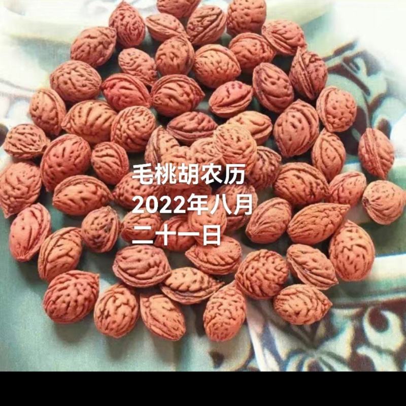 毛桃核种子