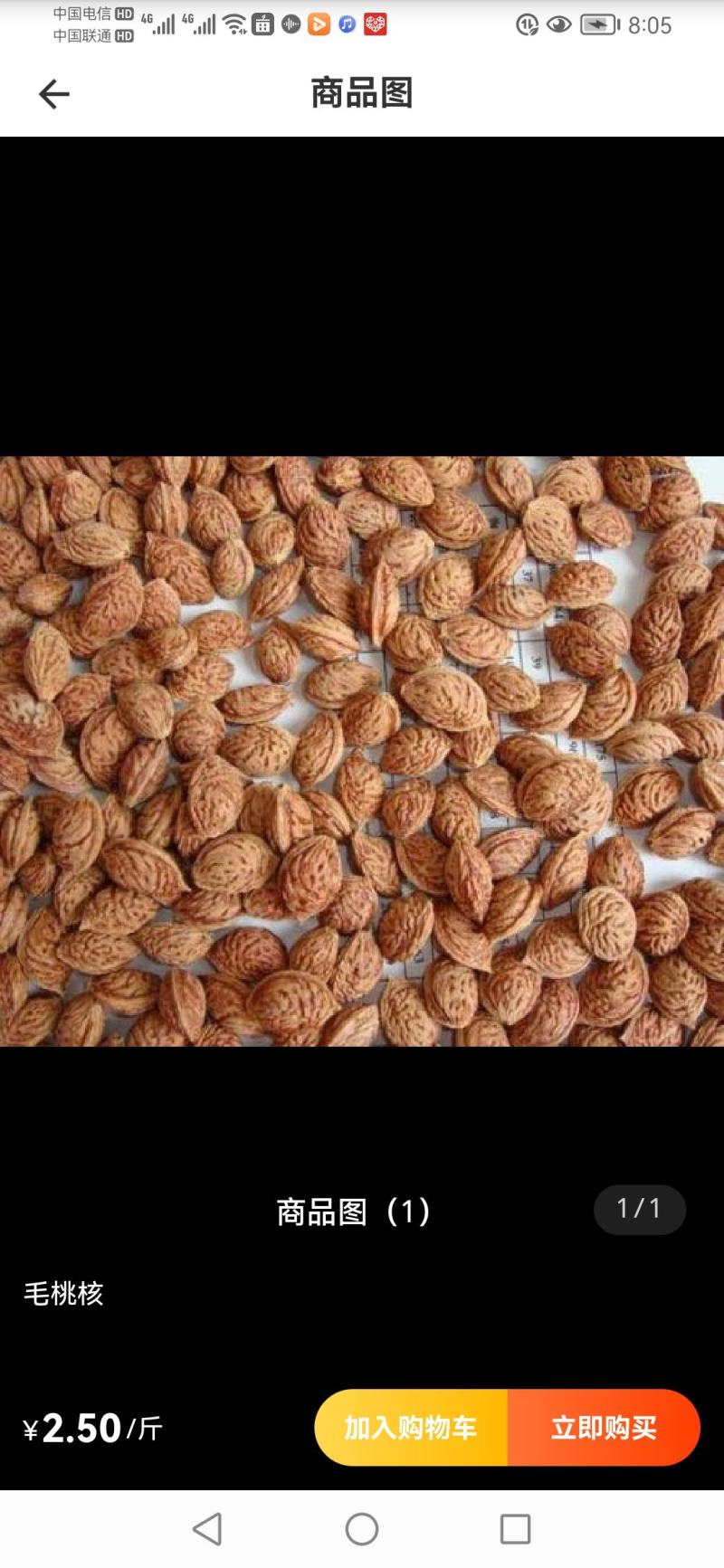 毛桃核种子
