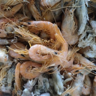 渤海湾铁皮虾，油炸食品