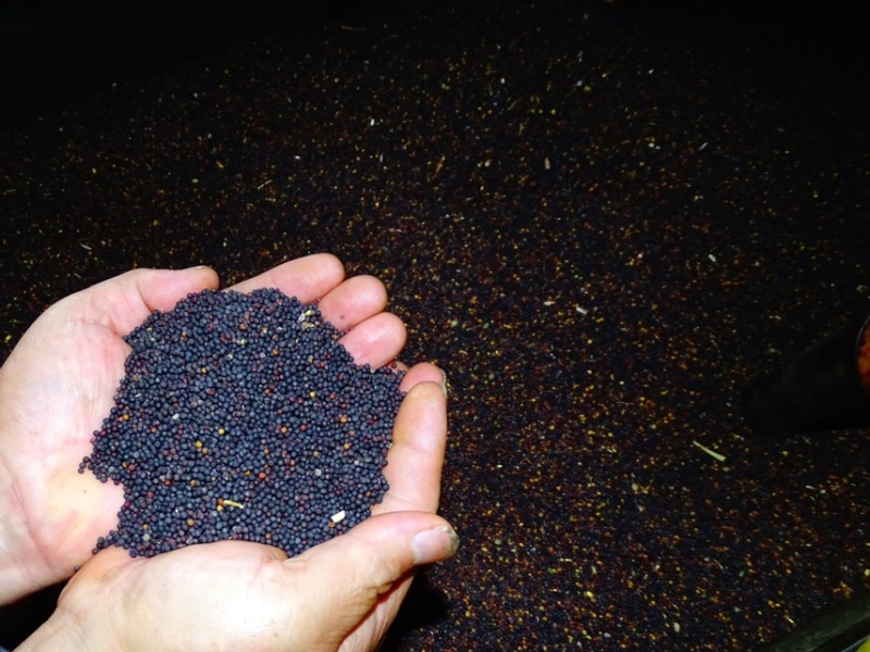 纯胡麻油菜籽油