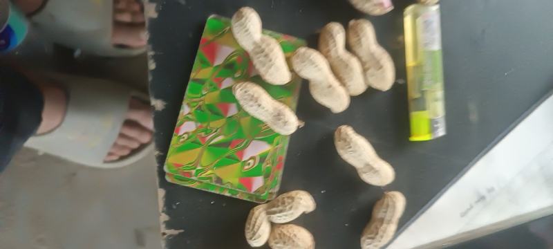 花生，现货，带壳，鲜货，一手货源价格优惠