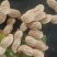花生，现货，带壳，鲜货，一手货源价格优惠