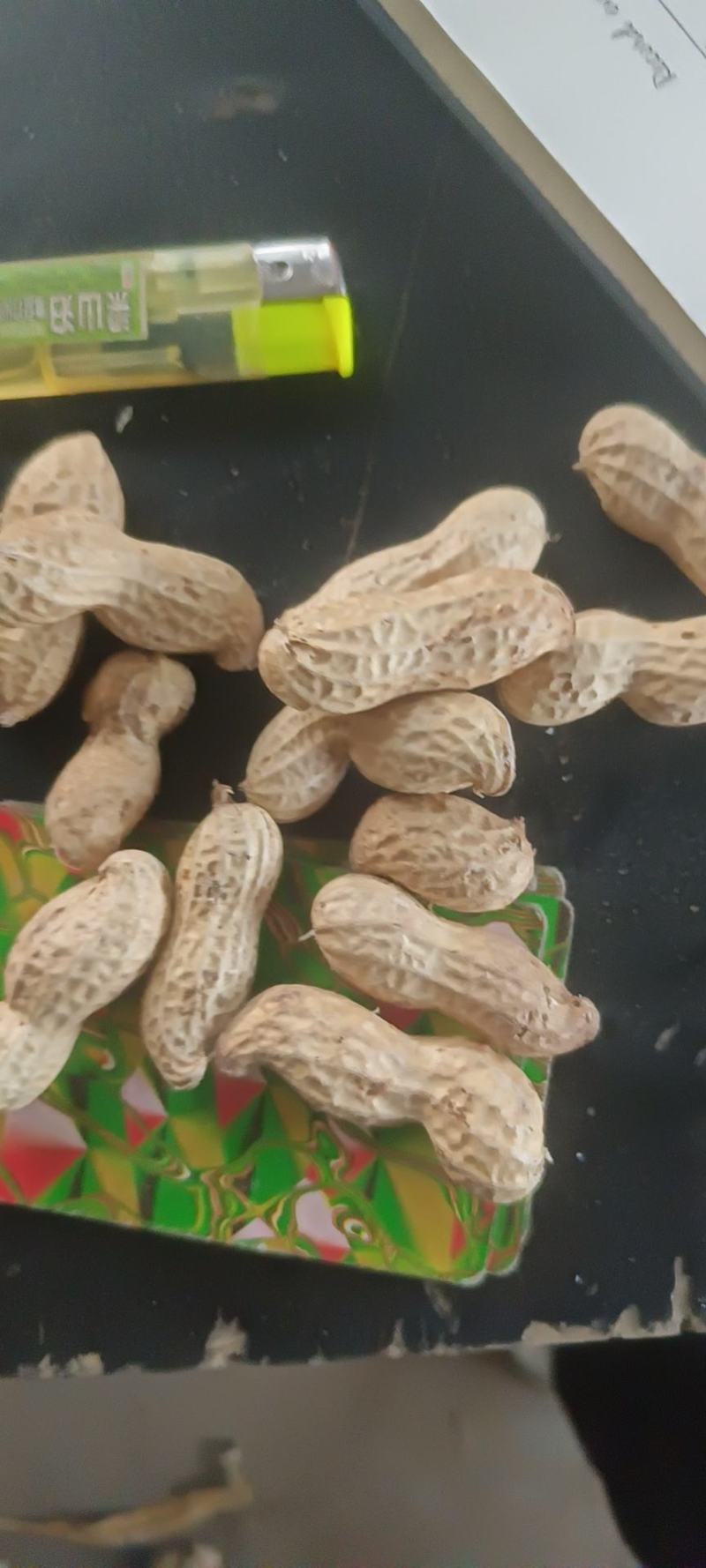 花生，现货，带壳，鲜货，一手货源价格优惠