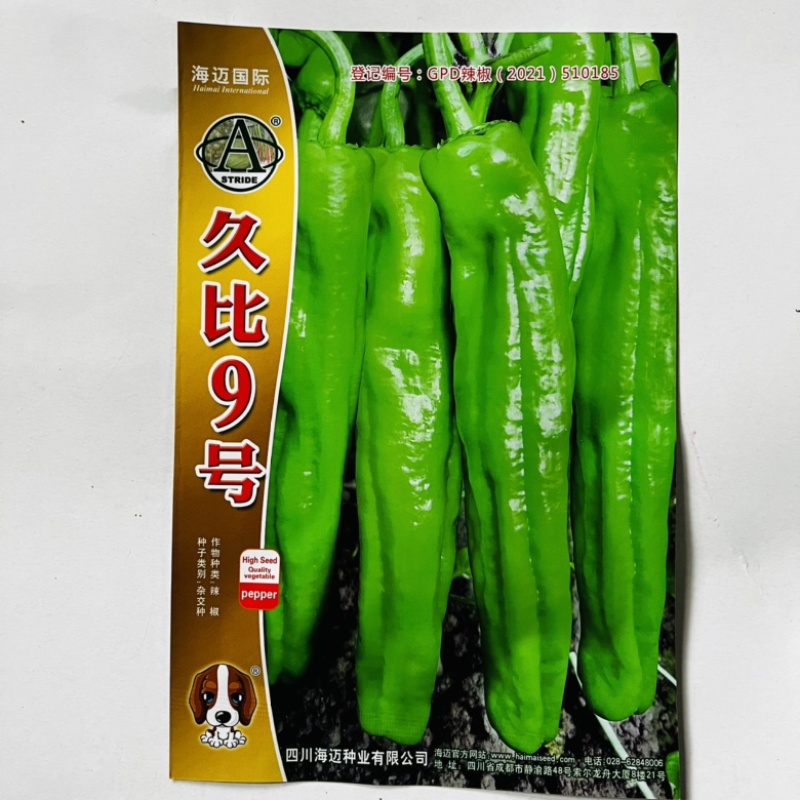 海迈久比9号薄皮椒种子品种种子杂交一代青皮椒种子