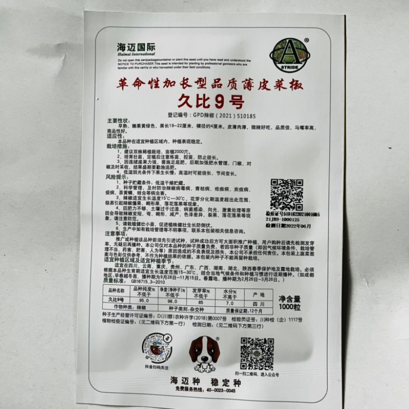 海迈久比9号薄皮椒种子品种种子杂交一代青皮椒种子