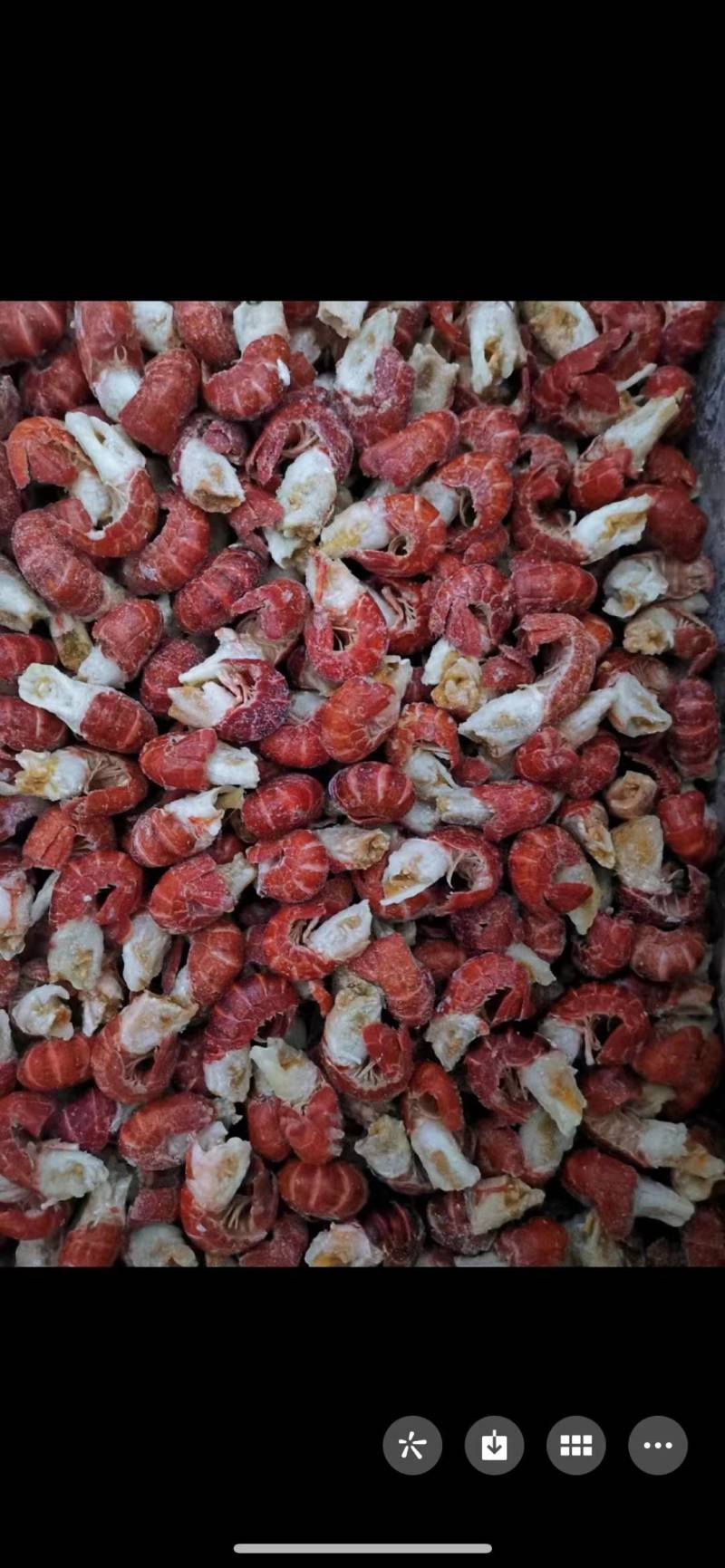 纯干原料无冰衣龙虾尾