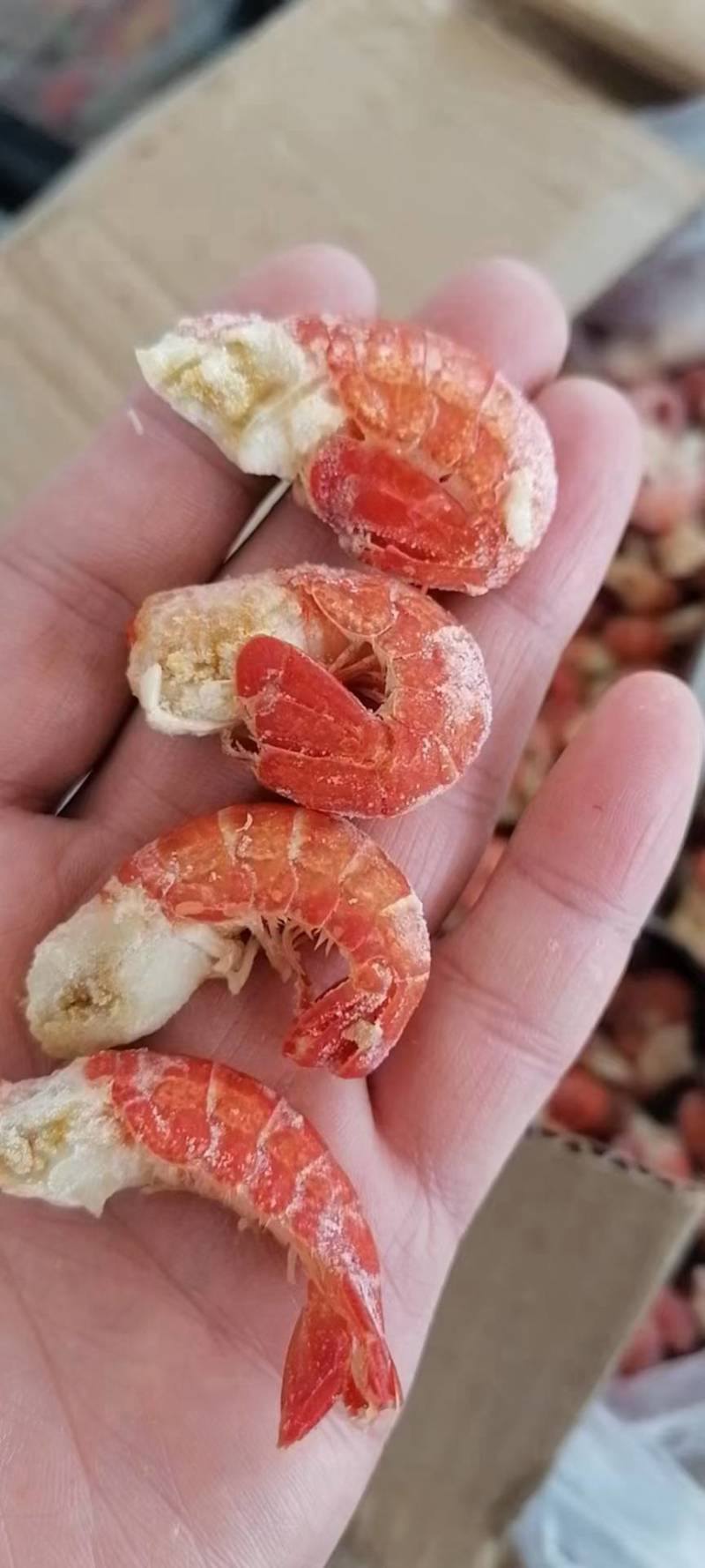 纯干原料无冰衣龙虾尾