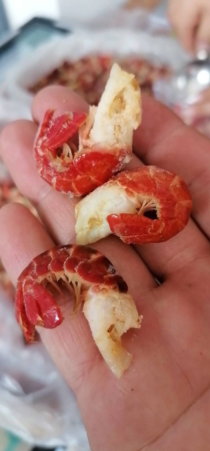 纯干原料无冰衣龙虾尾