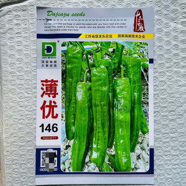 大家族薄优146薄皮椒种子泡椒种子杂交一代品种种子