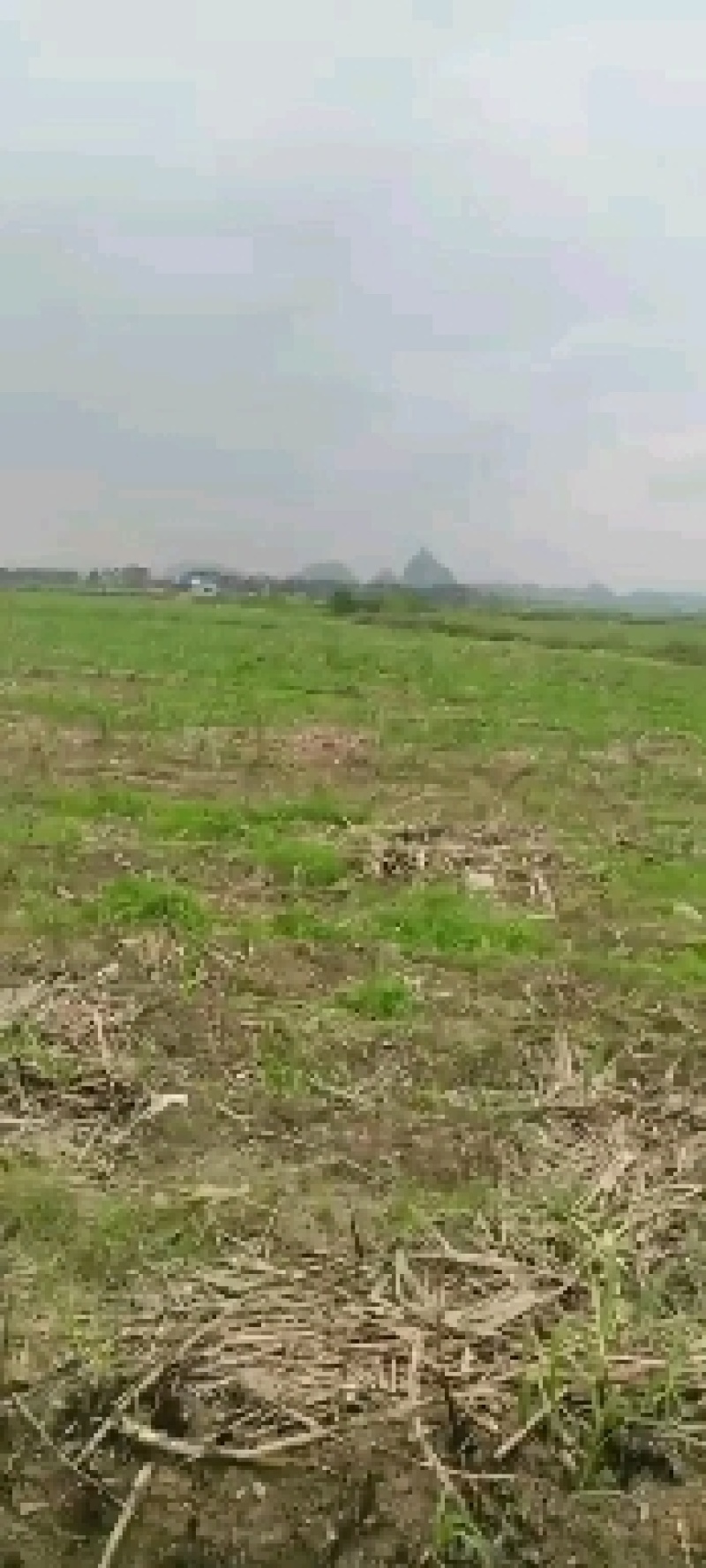 寻求境内荒山荒地数量不限光伏用地