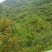 寻求境内荒山荒地数量不限光伏用地