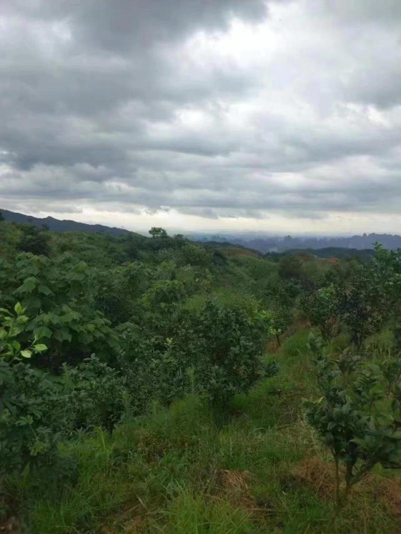 寻求境内荒山荒地数量不限光伏用地