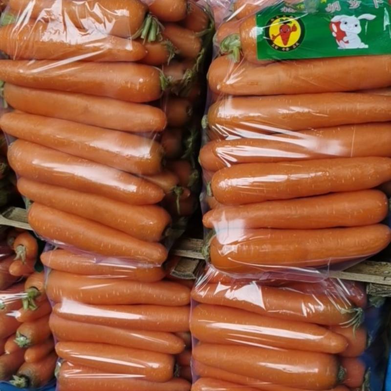 开封红萝卜，有水洗，土萝卜，冷库库存，可常年供货。