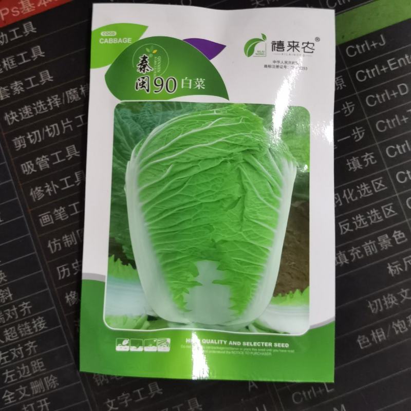 丰抗70丰抗80丰抗90大白菜种子高产秋季大白菜老品种大