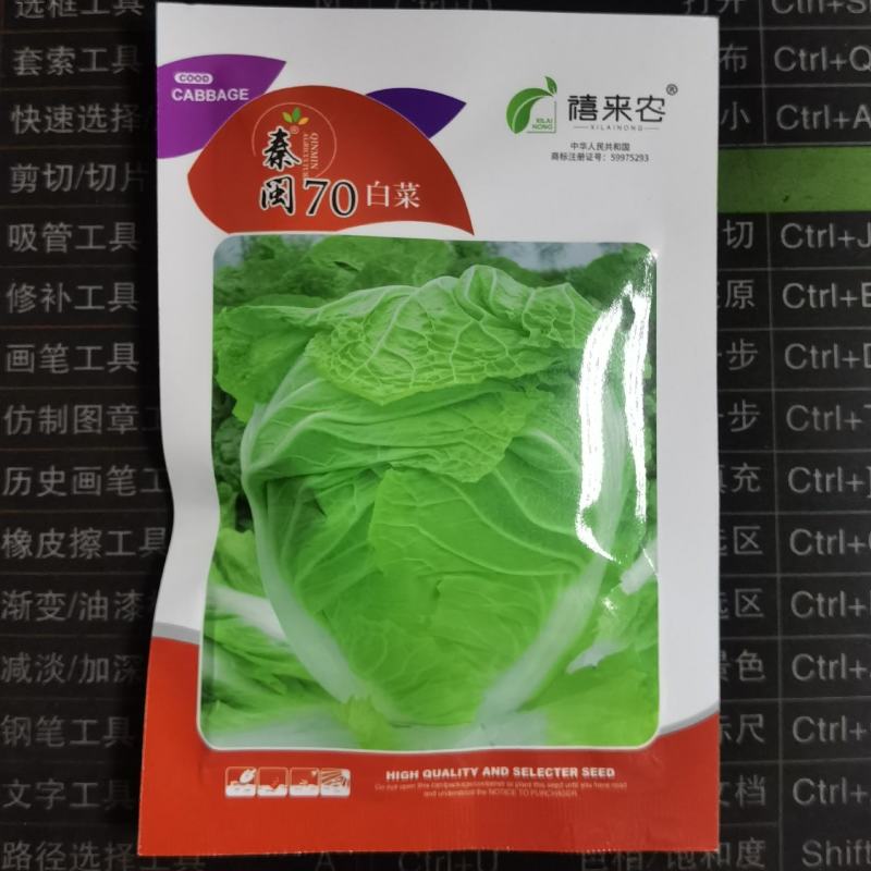 丰抗70丰抗80丰抗90大白菜种子高产秋季大白菜老品种大