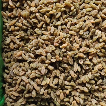 新疆葡萄干新疆特产绿香妃量大从优产地直发质量保证