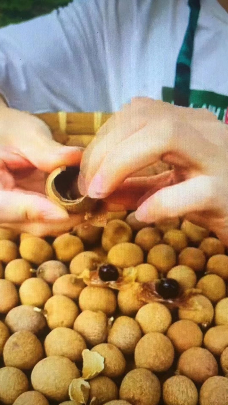 储良桂圆干