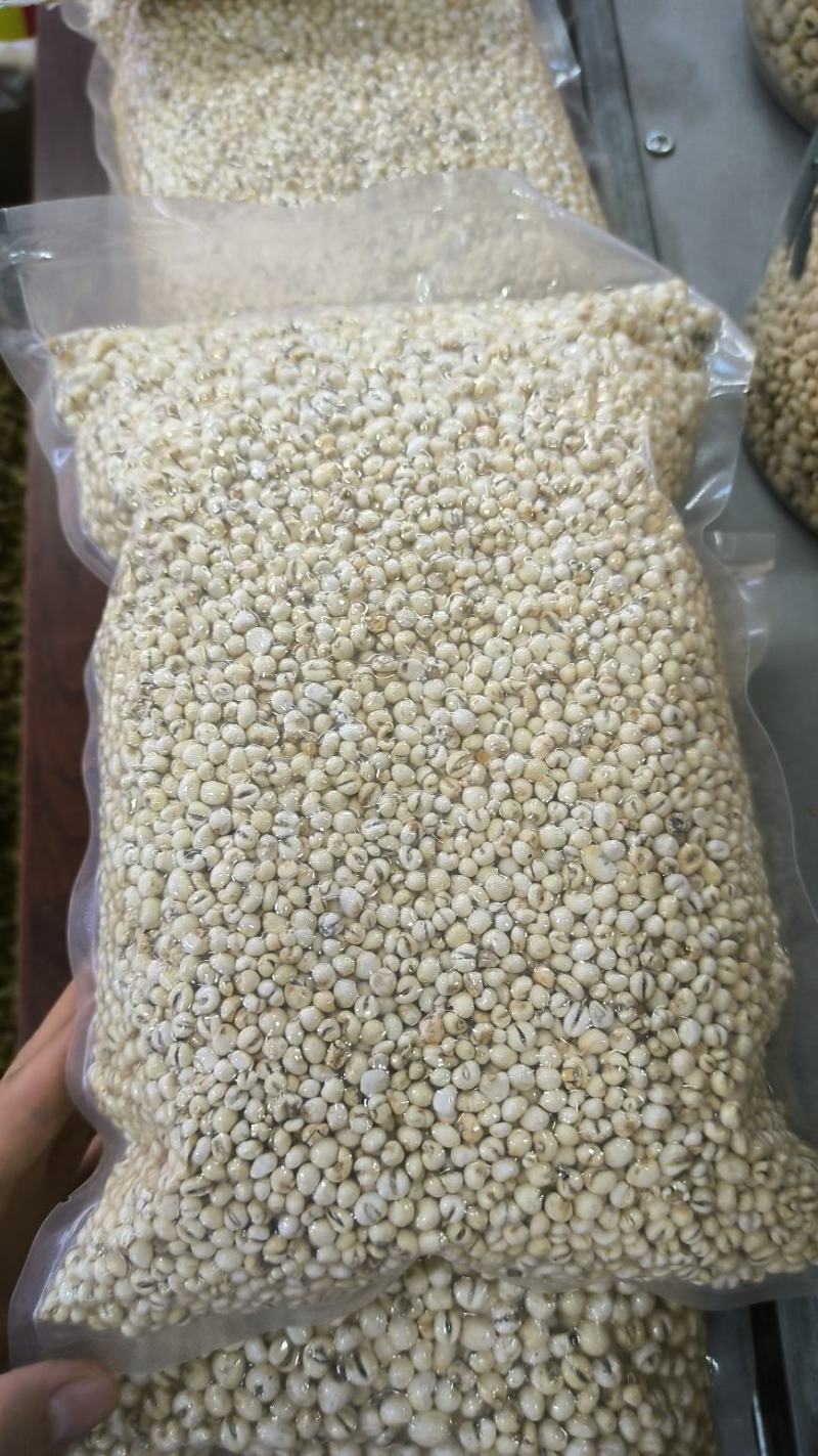 浙贝母中药材浙贝母片贝母贝母个规格齐全批发