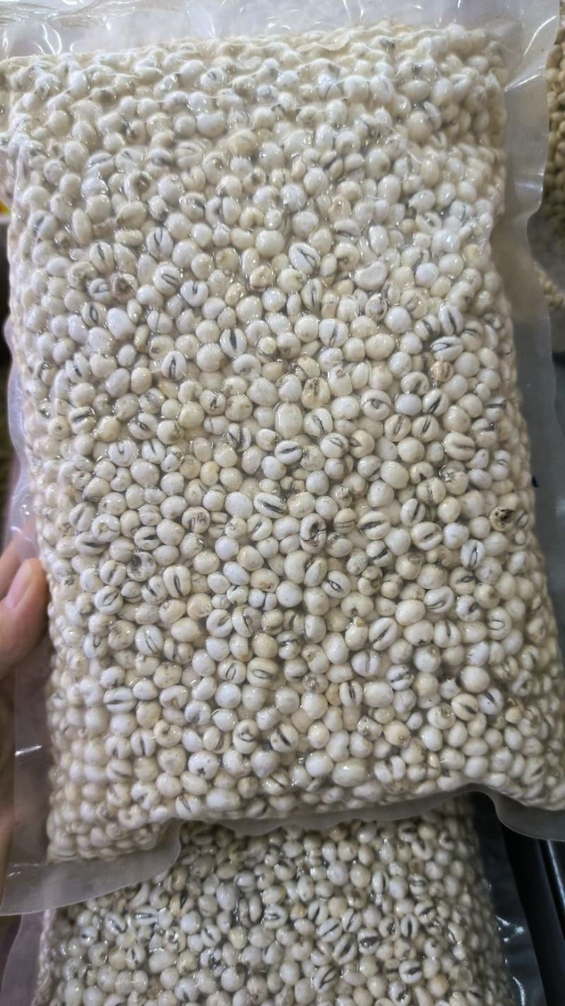 浙贝母中药材浙贝母片贝母贝母个规格齐全批发