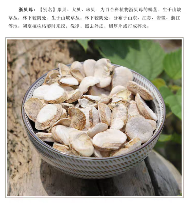 浙贝母中药材浙贝母片贝母贝母个规格齐全批发