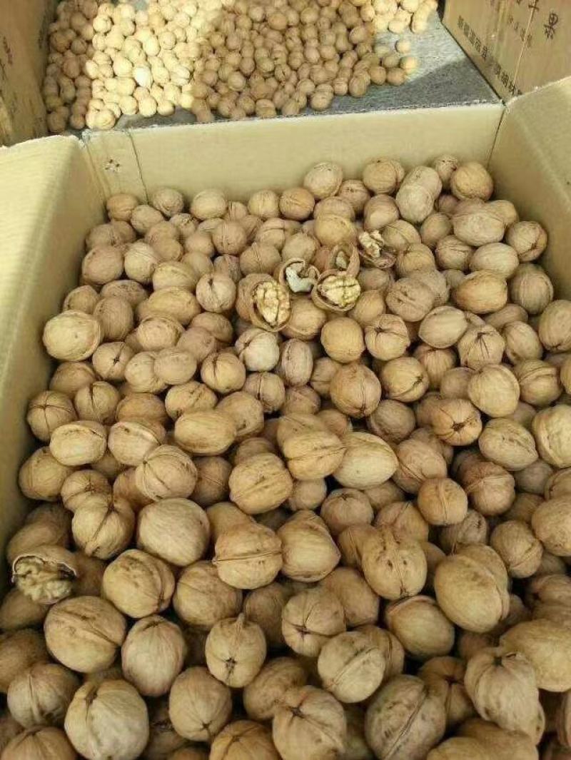 新疆阿克苏温宿县185纸皮核桃新疆核桃质量好大量有货