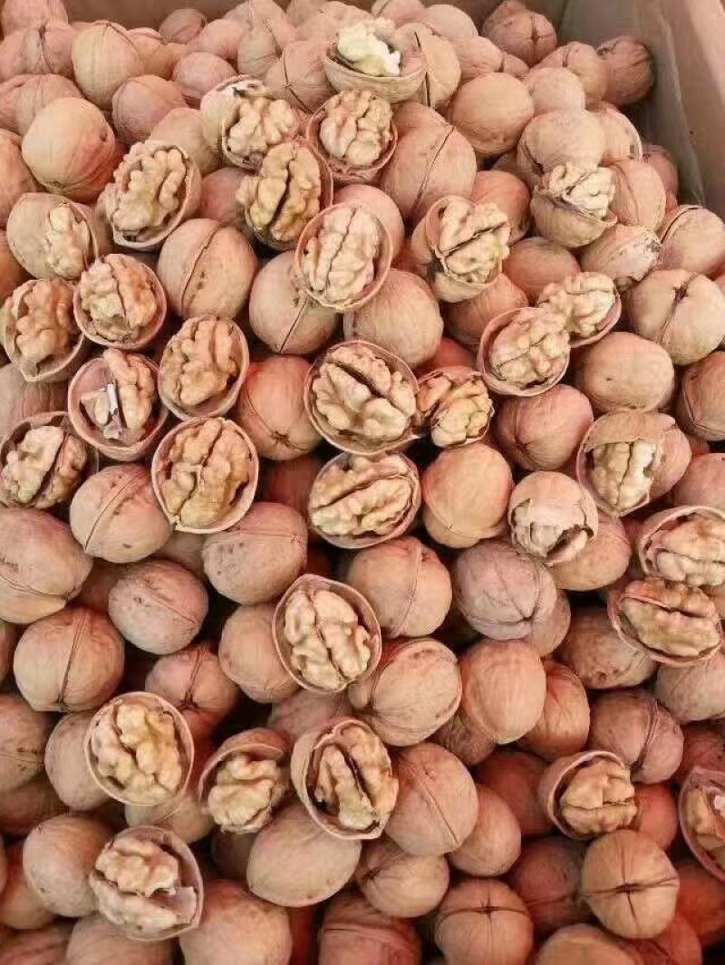 新疆阿克苏温宿县185纸皮核桃新疆核桃质量好大量有货