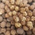 新疆阿克苏温宿县185纸皮核桃新疆核桃质量好大量有货