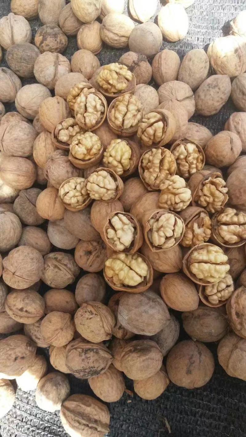 新疆阿克苏温宿县185纸皮核桃新疆核桃质量好大量有货