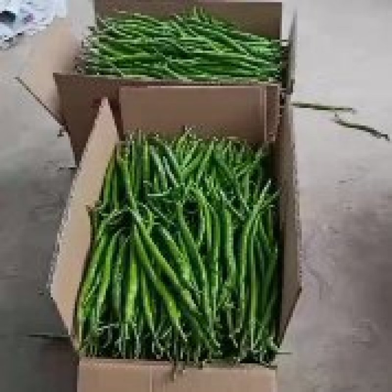 鲜辣椒