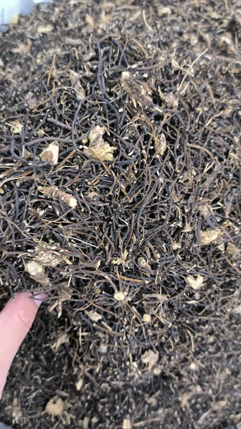 威灵仙中药材整株水洗威灵仙规格齐全威灵仙头须子