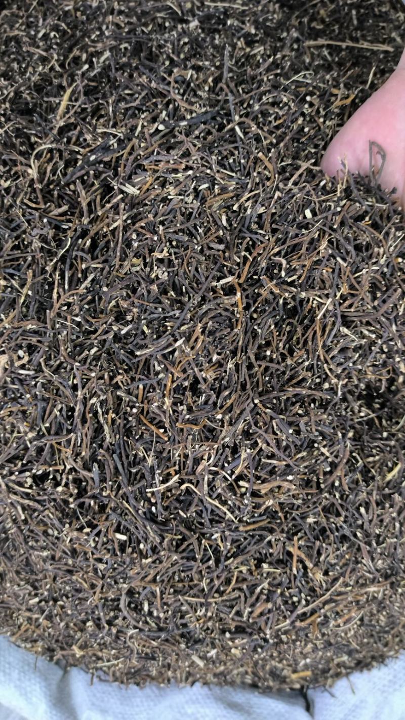 威灵仙中药材整株水洗威灵仙规格齐全威灵仙头须子