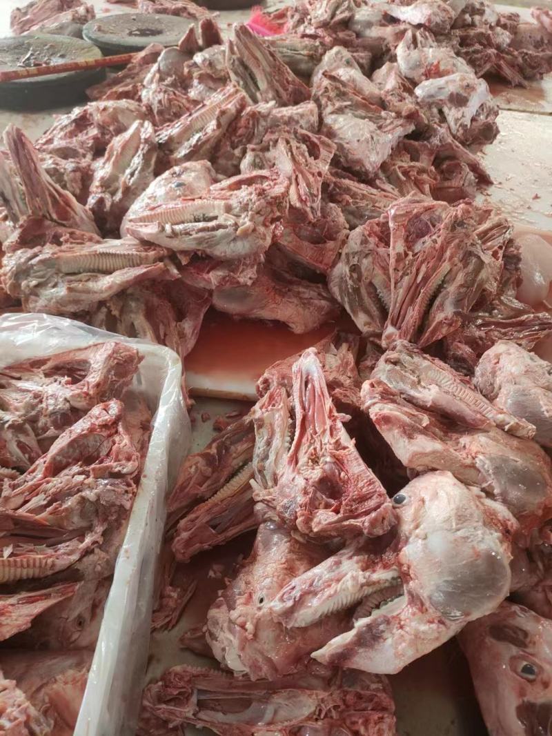 肥猪多肉头骨几十吨货