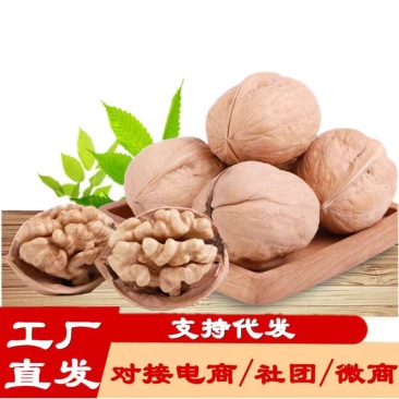 新货新疆薄皮核桃对应抖音快手美团大卖可做包装一件代发